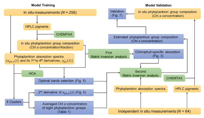 Light absorption spectra of naturally mixed phytoplankton assemblages for retrieval of phytoplankton group composition in coastal oceans