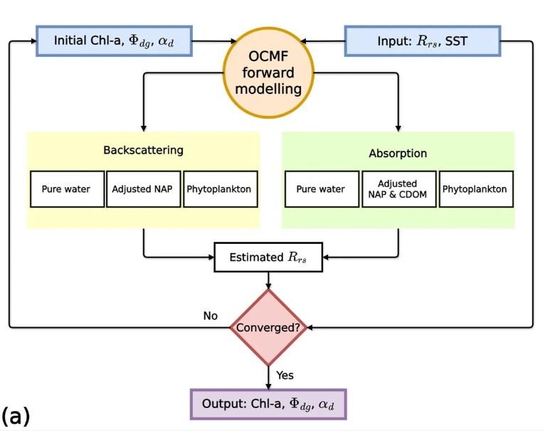 Coupling ecological concepts with an ocean-colour model: inversion modelling