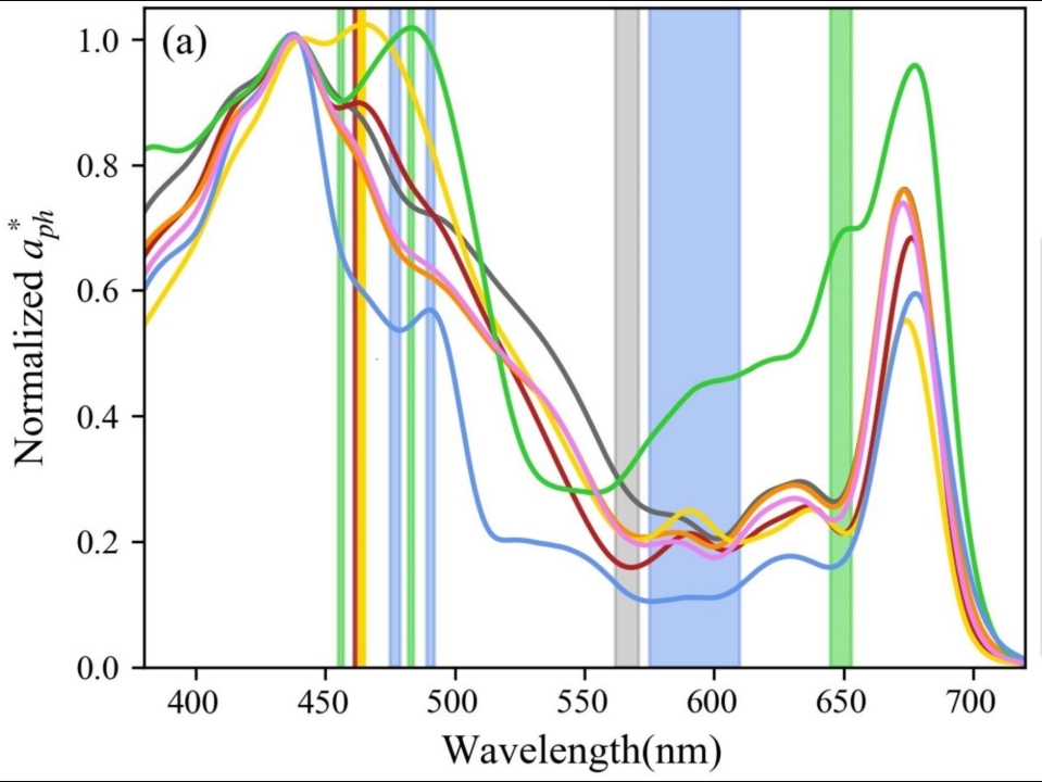 Optical distinguishability of phytoplankton species for hyperspectral remote sensing