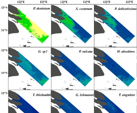 Hyperspectral Remote Sensing of Phytoplankton Species Composition Based on Transfer Learning